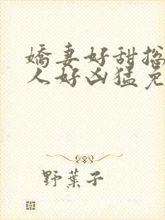 娇妻好甜总裁大人好凶猛免费小说