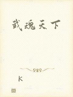 武魂天下封面