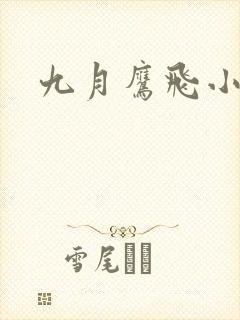 九月鹰飞小说封面