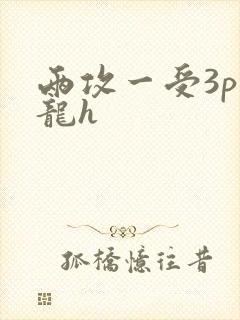 两攻一受3p双龙h