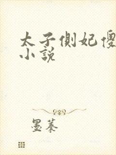 太子侧妃傻乎乎小说