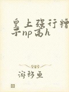 皇上强行糟蹋太子np高h