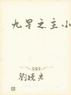 九星之主小说