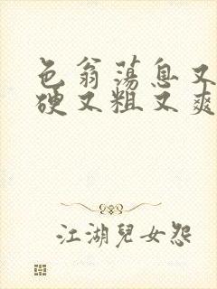 色翁荡息又大又硬又粗又爽