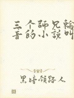 三个师兄轮流上音的小说叫什么