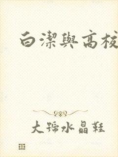 白洁与高校长封面
