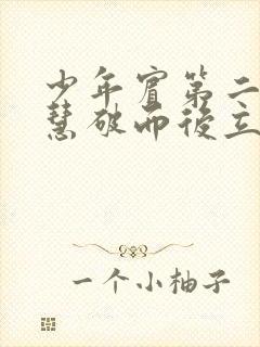 少年宾第二部珏慧破而后立封面