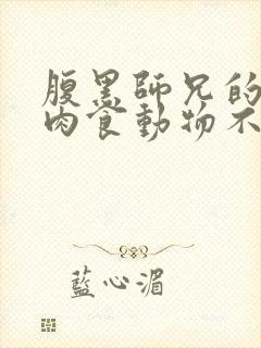 腹黑师兄的日常肉食动物不食草封面