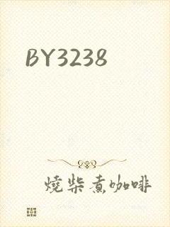 BY3238封面