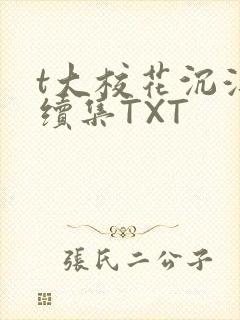 t大校花沉浮录续集TXT