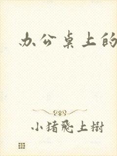 办公桌上的美味