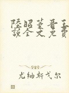 陆昭菱晋王的小说全文免费阅读