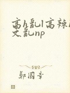 高h乱l高辣h文乱np