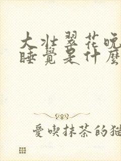 大壮翠花晚上不睡觉是什么电视剧