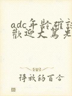 adc年龄确认欢迎大驾光临小说