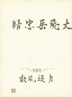 精忠岳飞大结局