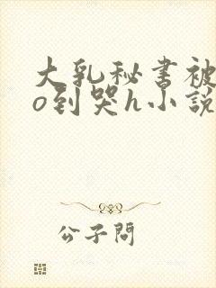 大乳秘书被cao到哭h小说