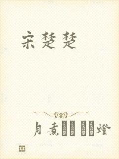 宋楚楚