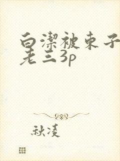 白洁被东子老二老三3p
