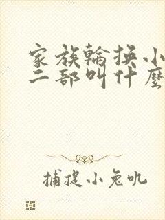 家族轮换小说第二部叫什么名字