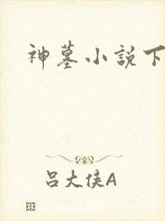 神墓小说下载