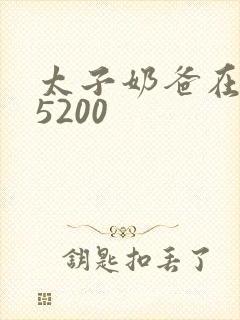 太子奶爸在花都5200