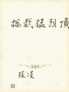 总裁猛烈顶弄h封面