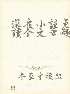 深夜小说免费阅读全文笔趣阁