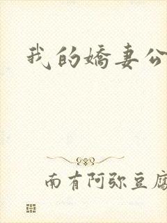 我的娇妻公务员