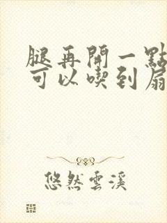 腿再开一点我就可以吃到扇贝了封面