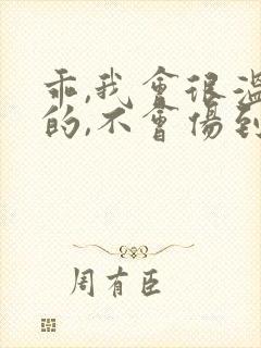 乖,我会很温柔的,不会伤到你小说封面