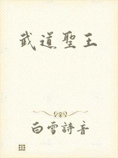 武道圣王