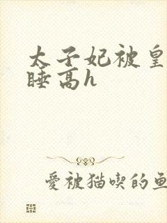 太子妃被皇上强睡高h