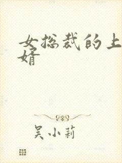 女总裁的上门女婿封面