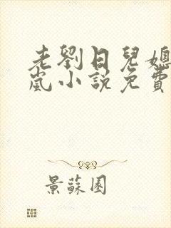 老刘日儿媳妇张岚小说免费阅读