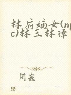 林府嫡女(npc)林玉林璋