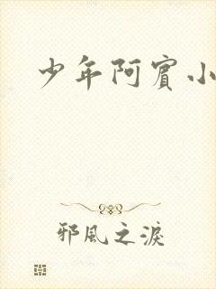 少年阿宾小说封面