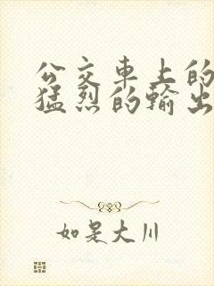 公交车上的诗请猛烈的输出阅读