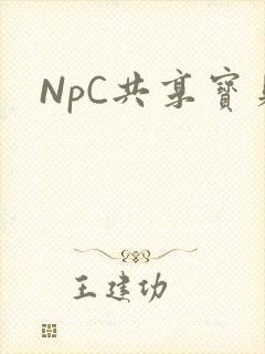 NpC共享宝贝