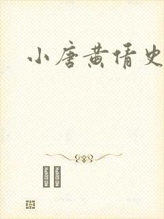 小唐黄倩史封面