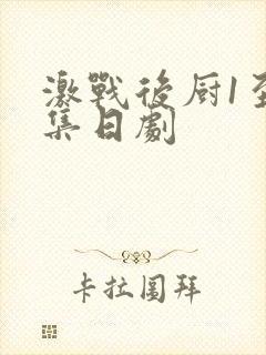 激战后厨1至5集日剧