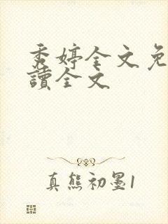 秀婷全文免费阅读全文封面