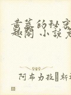 黄蓉的秘密 笔趣阁 小说免费阅读下载封面
