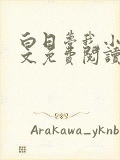 白日梦我小说全文免费阅读封面