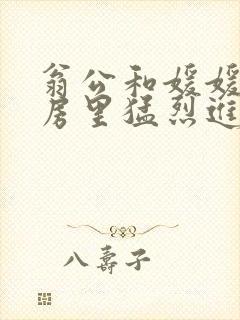 翁公和媛媛在厨房里猛烈进出