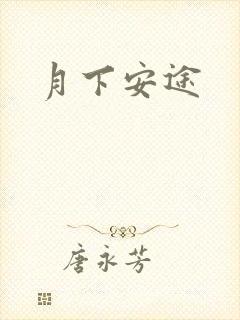 月下安途