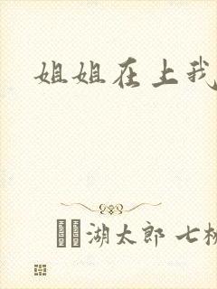 姐姐在上我在下