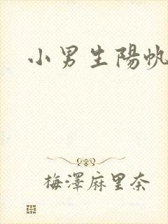 小男生阳帆封面