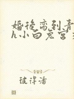 婚后脔到青梅哭h小白兔宫交h