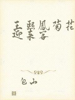 王熙凤菊花门初迎来客